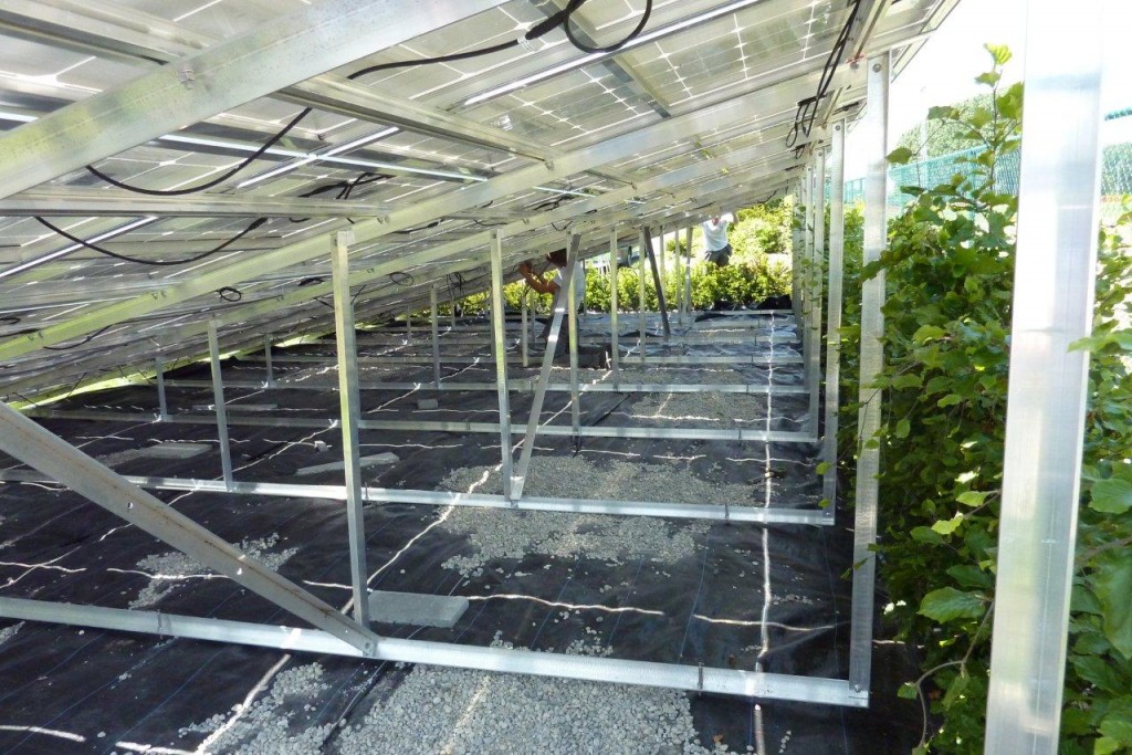 pv-panelen-sharp-11,100-kwp-image-5