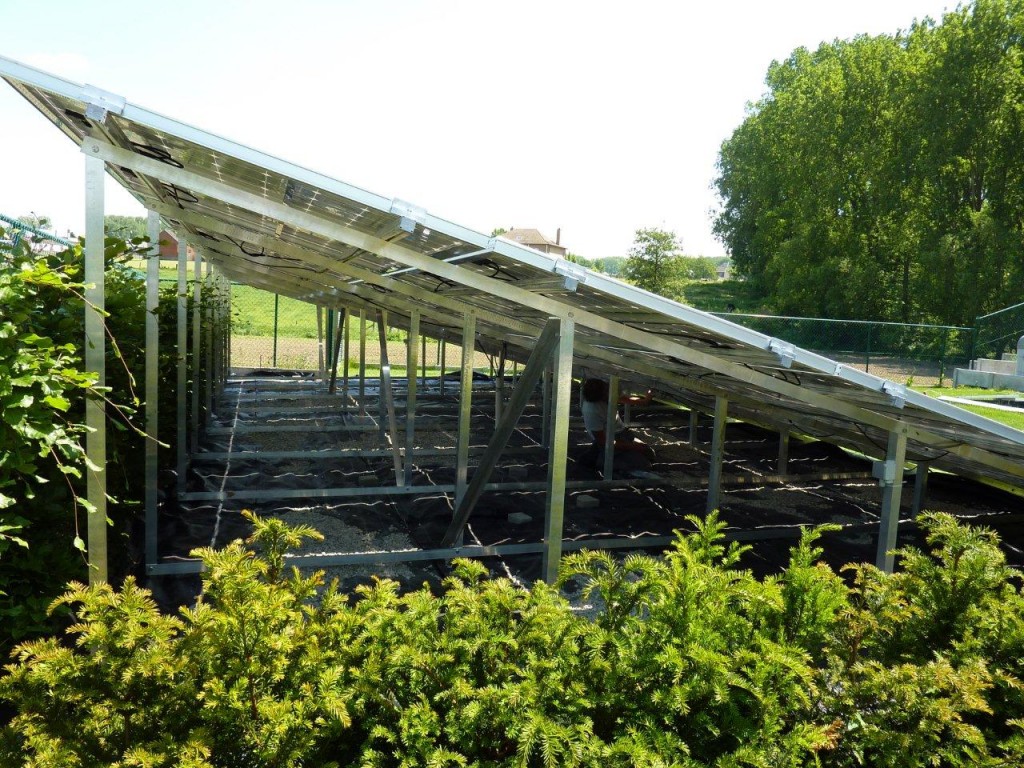 pv-panelen-sharp-11,100-kwp-image-4
